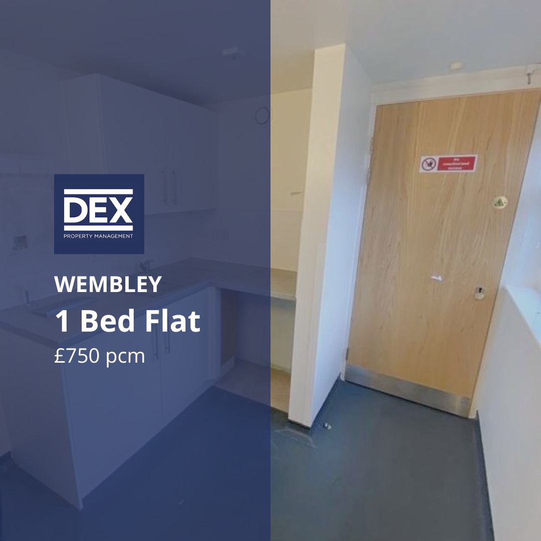 We currently have various properties available across London 🚨

Get in touch for more information:

📞 0800 0855 994
📧 info@dexpropertymanagement.co.uk
🌐 dexpropertymanagement.co.uk

#Guardianship #HousingMarket #LondonHomes #DexProperty #AffordableHousing