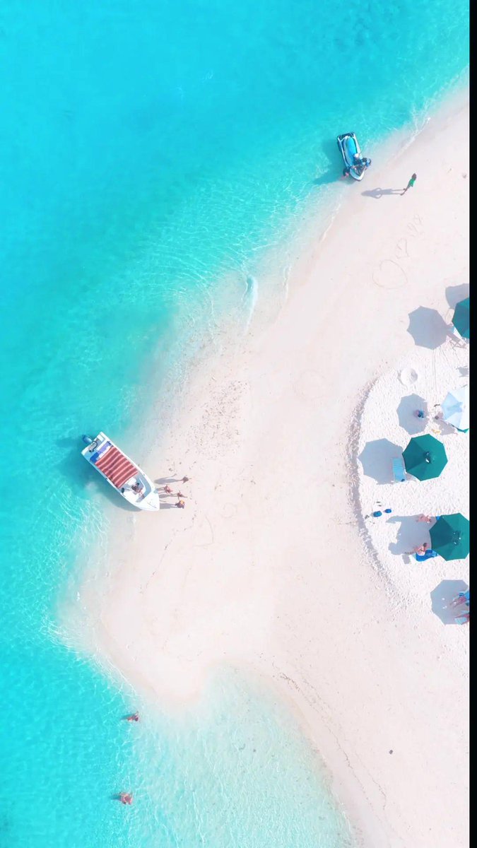 mutti0707's tweet photo. Visit Maldives 2024 #VisitMaldives #SunnySideOfLife #Maldives 
#Vaavuatoll #shark #sea #beach https://t.co/PkxSFsAjOw