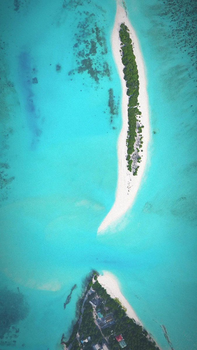 mutti0707's tweet photo. Visit Maldives 2024 #VisitMaldives #SunnySideOfLife #Maldives 
#Vaavuatoll #shark #sea #beach https://t.co/PkxSFsAjOw