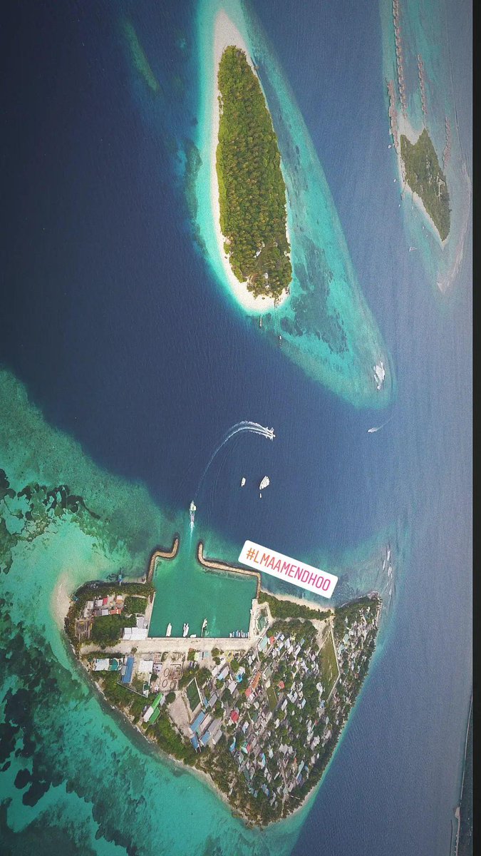 mutti0707's tweet photo. Visit Maldives 2024 #VisitMaldives #SunnySideOfLife #Maldives 
#Vaavuatoll #shark #sea #beach https://t.co/PkxSFsAjOw
