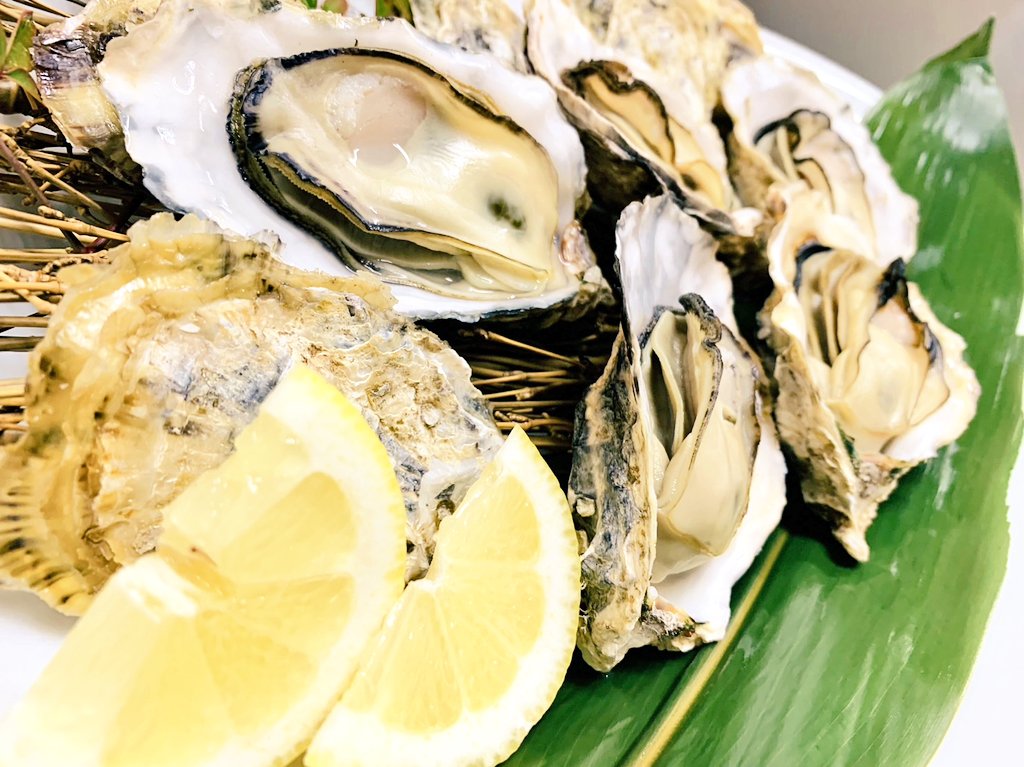 munehiro_8246's tweet photo. 新年明けましておめでとうございます。いけす料理宗弘です❗
三角産真牡蠣が入荷しました✨
新鮮な真牡蠣を焼き牡蠣として提供いたします‼
岩牡蠣は生のみ提供となります。
口に運べば新鮮な潮の香りと共に牡蠣の濃厚な味をお楽しみ下さい❗
＃宗弘　＃牡蠣　＃八代グルメ https://t.co/5RiYUUnnWU
