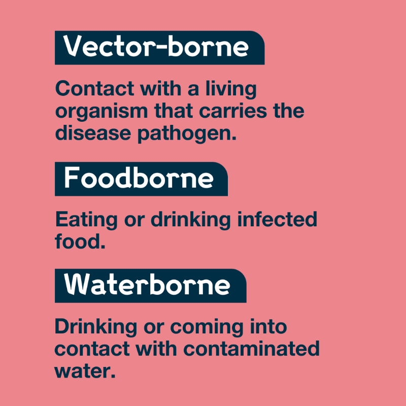 wellcometrust's tweet photo. Zoonotic diseases are infectious diseases that jump from animals to humans. They represent a major global public health problem due to our close relationship with animals.

Read our explainer to learn more about how they spread and how they can be prevented.