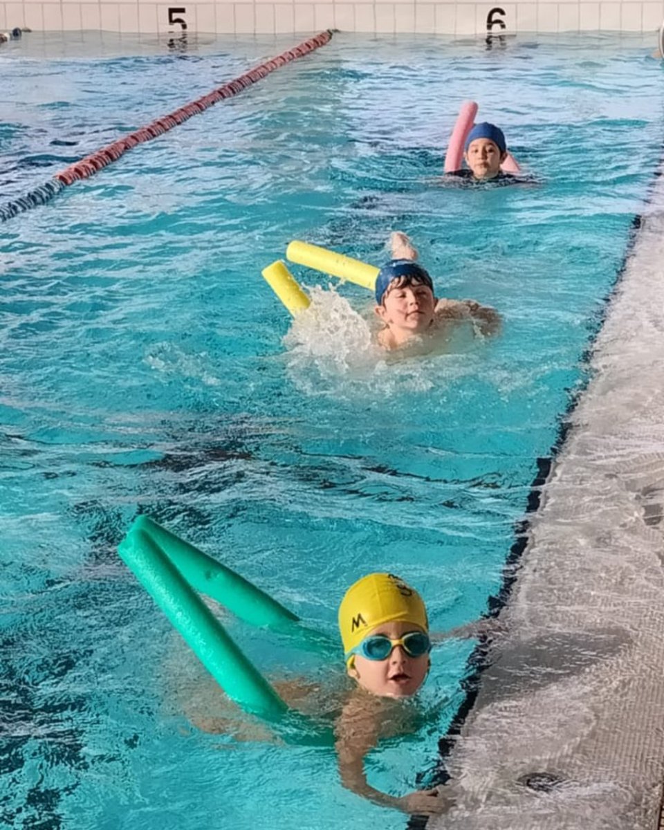 #TheSharksSwimClub 🦈 recibe el 2024 en el agua 🏊🏊‍♀️Arrancan los cursillos de natación de nuestros alumnos de 1º y 2º de Primaria y los peques están disfrutando muchísimo de la experiencia 🤩 ¡Vamos, tiburones! #ColegioMeres #CognitaWay
