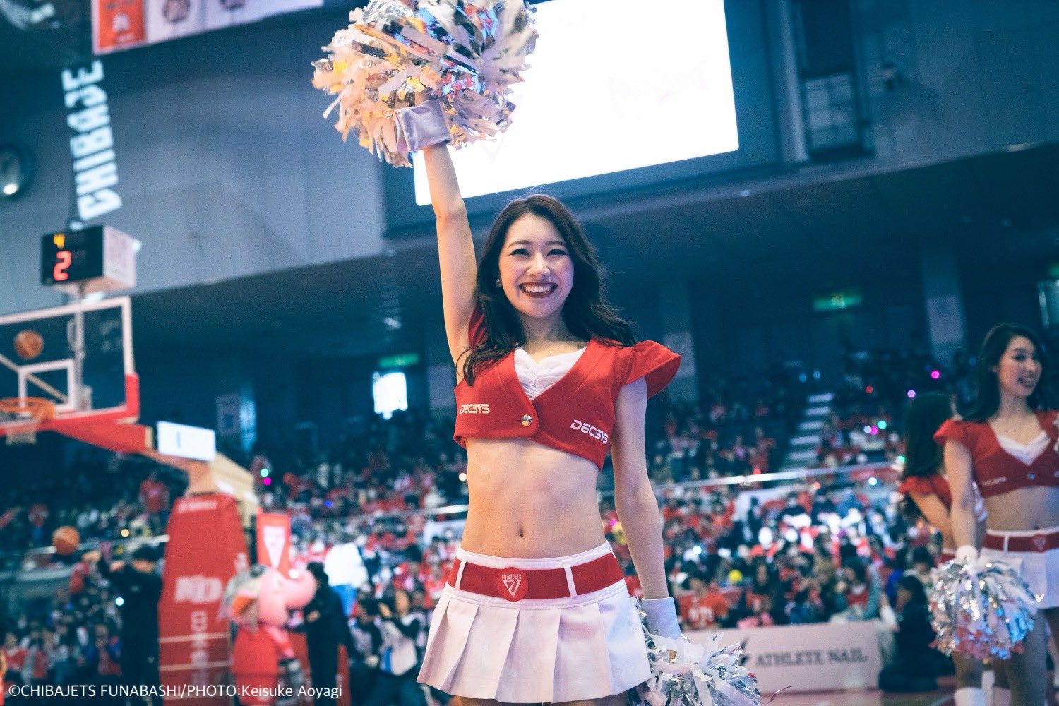 スタージェッツチア 