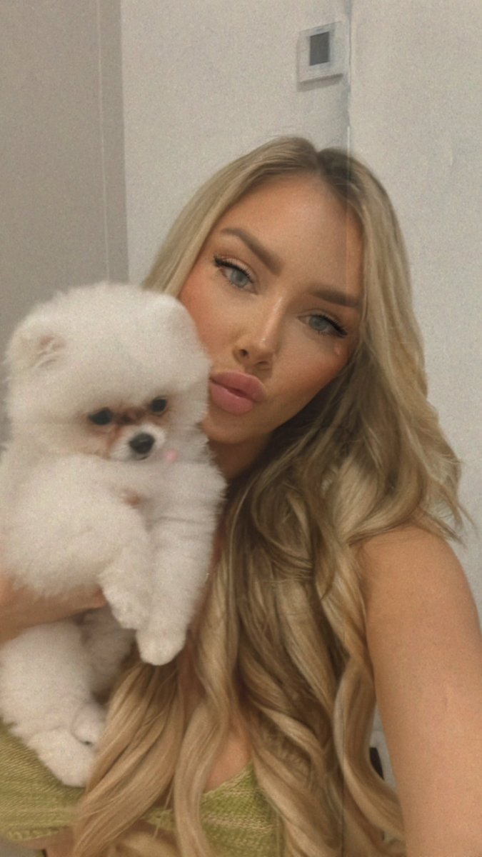 GM everyone! 👋💛

Happy 🌮  Tuesday