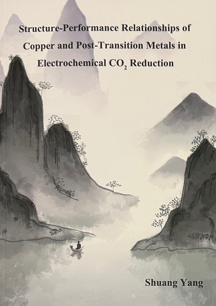 BWeckhuysen's tweet photo. Congrats to Dr. Shuang Yang for an Excellent PhD Defense

Shuang has studied a.o. the effect of post-transition metals (Bi, Pb &amp; Sn) on the properties of Cu for electrochemical CO2 reduction.

Well done &amp; wishing you all the best for the future, Shuang!

@UniUtrecht @mcecresearch https://t.co/A1UW4jx8YM