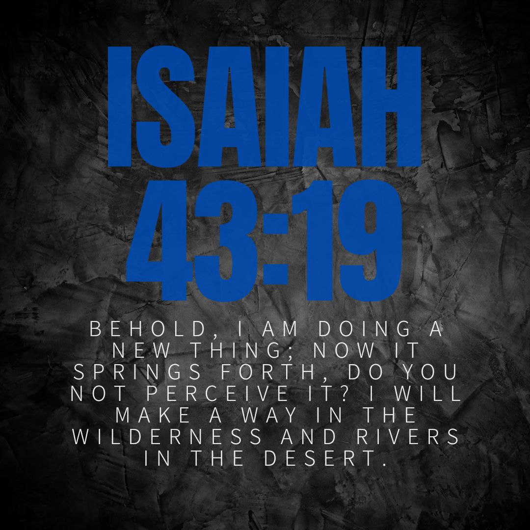 JCCBasildon's tweet photo. #NewBeginnings #Fruitfulness #waymaker https://t.co/qq1v7fDQ3b