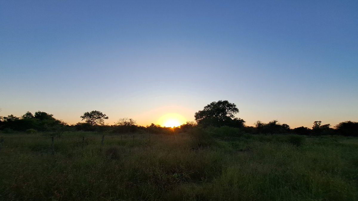 lacatalinapy's tweet photo. ¡Bueno días! Excelente jornada para todos. Mucho calor por aqui, el calor reduce nuestra producción de leche 🔥 🥛🐄 ayer tocamos los 45 grados. https://t.co/s1mJYHRB5Y