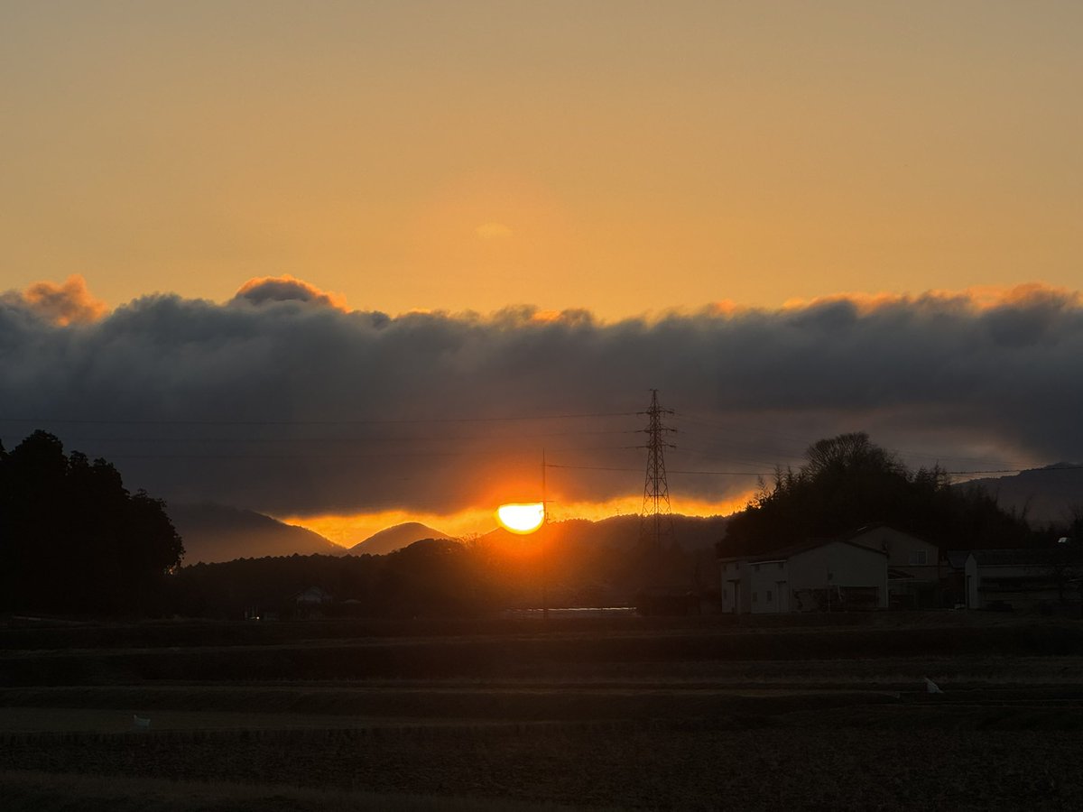 InfiniesP's tweet photo. 遅ればせながら今年のお節
#vegan
#plantbased https://t.co/u9sYAkzX3K