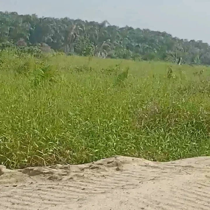 ScoffReuben's tweet photo. CELOLINKS INTERNATIONAL LIMITED owns prime land properties in the thriving areas of Ajah, Ibeju Lekki, and Epe, among the fastest-growing locations in Lagos State, Nigeria. These locations promise excellent Return on Investment. https://t.co/G3CaufoWMw