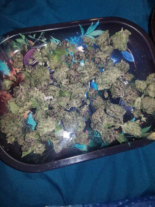 Anxiety Gone ☮️ - Weed. Legalize it ✅ https://t.co/wx5NjLEdYY