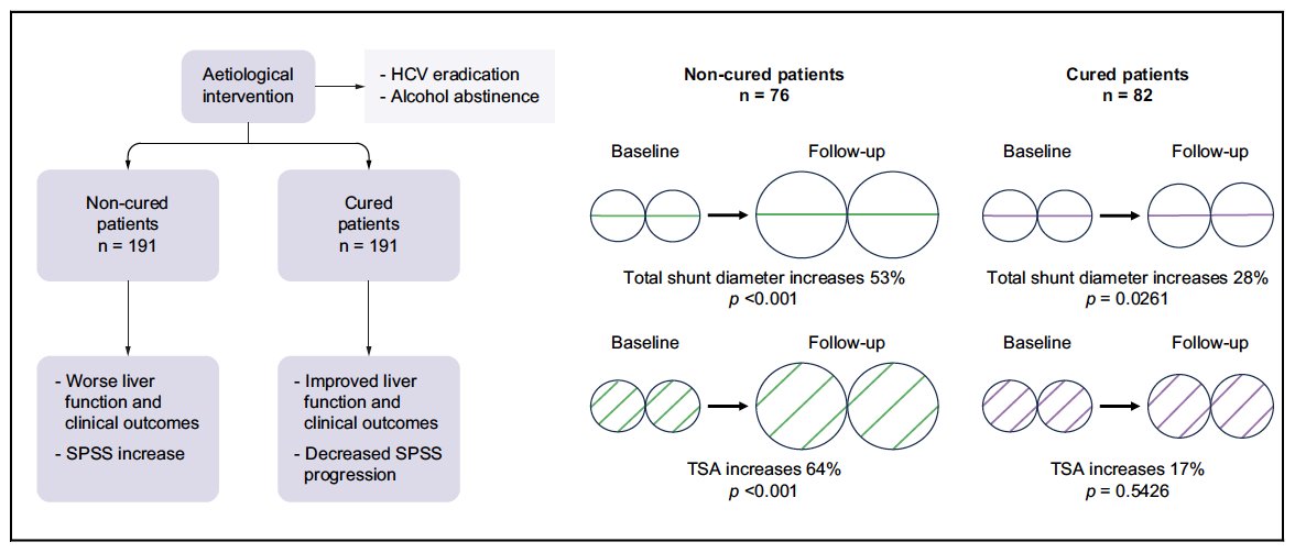 #LiverTwitter ❓What happens to portosystemic collaterals (#SPSS) over time? 📈 Collaterals increase in number/size if liver function worsens 😱 Collaterals mostly persist despite liver function improvement @BavenoCoop study in @JHEP_Reports 📕t.ly/PWGvo