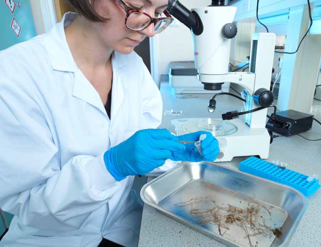 🌳 We are a leading tree science research organisation that provides data, evidence and advice to policymakers and forestry practitioners. 

Want to work with us? Visit our careers page and click ‘Apply Now’: ow.ly/MbRs50QoHgk

#ForestryCareers #ScienceCareers