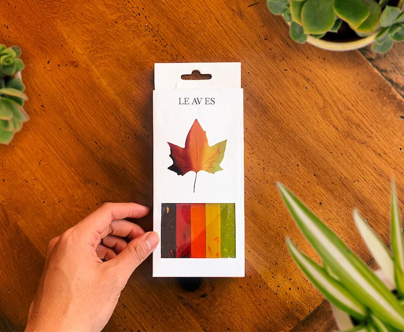 designboom's tweet photo. capturing transient shades of leaves, shion ito's crayons fuse multiple hues into one https://t.co/BeaeZTCk1s https://t.co/0Ua91o5xhQ