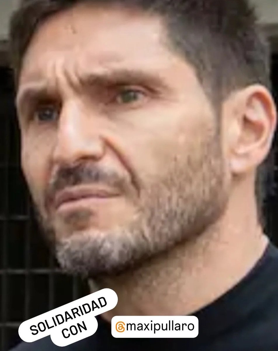 Daniel Tonelli tweet media