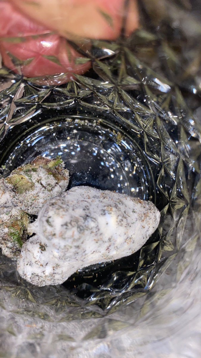 What’s y’all strain of the day ?