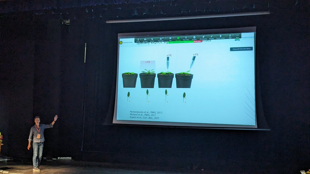ISPP2026 - @ispphotobiology.bsky.social tweet media