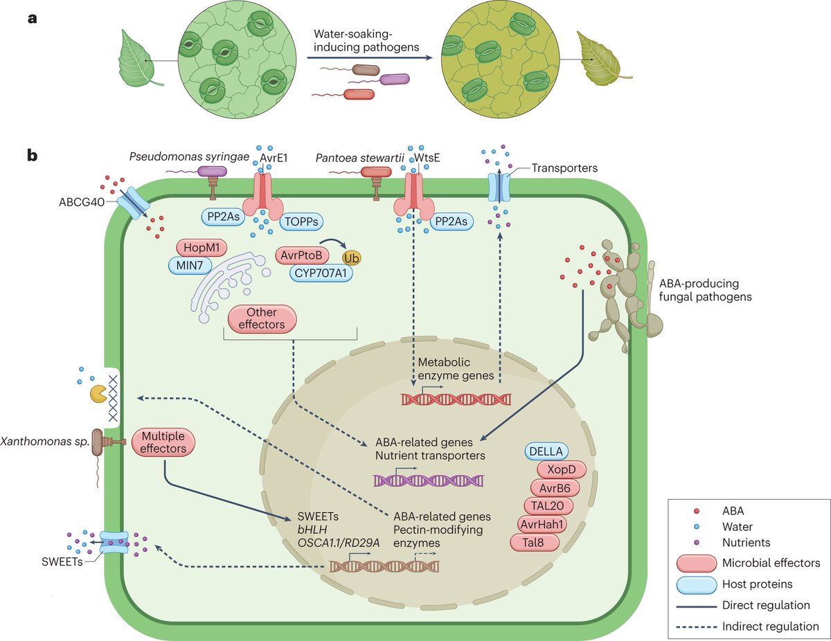 NatureRevMicro tweet picture