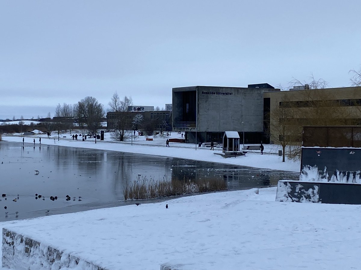 KE_Brodersen's tweet photo. Roskilde University 2024! @seas_green 
This year I will be hiring 3 PhDs &amp; 3 postdocs to my research group working with effects of changing environmental conditions on seagrass performance &amp; ecosystem function. Please spread the word &amp; let me know of interested good candidates🙏 https://t.co/RW2NvLKaCh