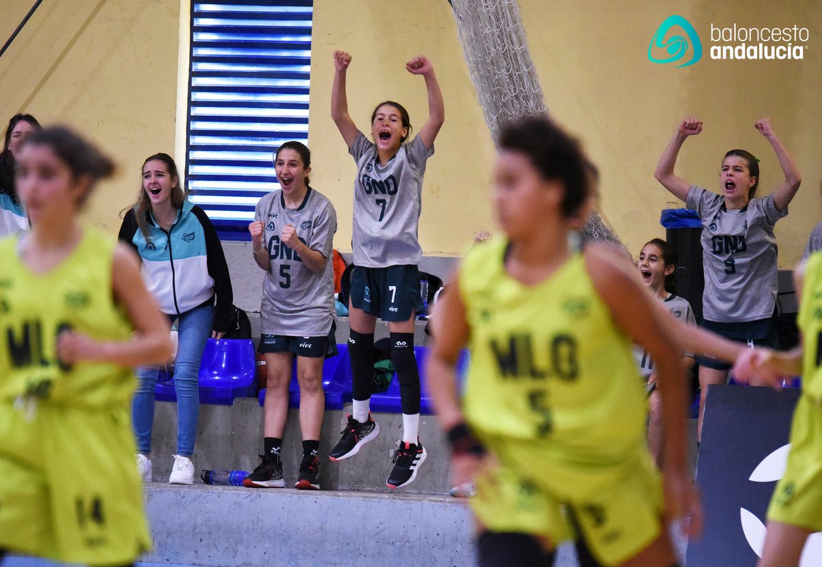 🤩 ¡Los A8 Mini abren el año de competiciones autonómicas!

🗓️ ¡Ya puedes consultar el calendario del #A8MF2024!

#baloncestoandalucia

👉 bit.ly/3RTJL7w
