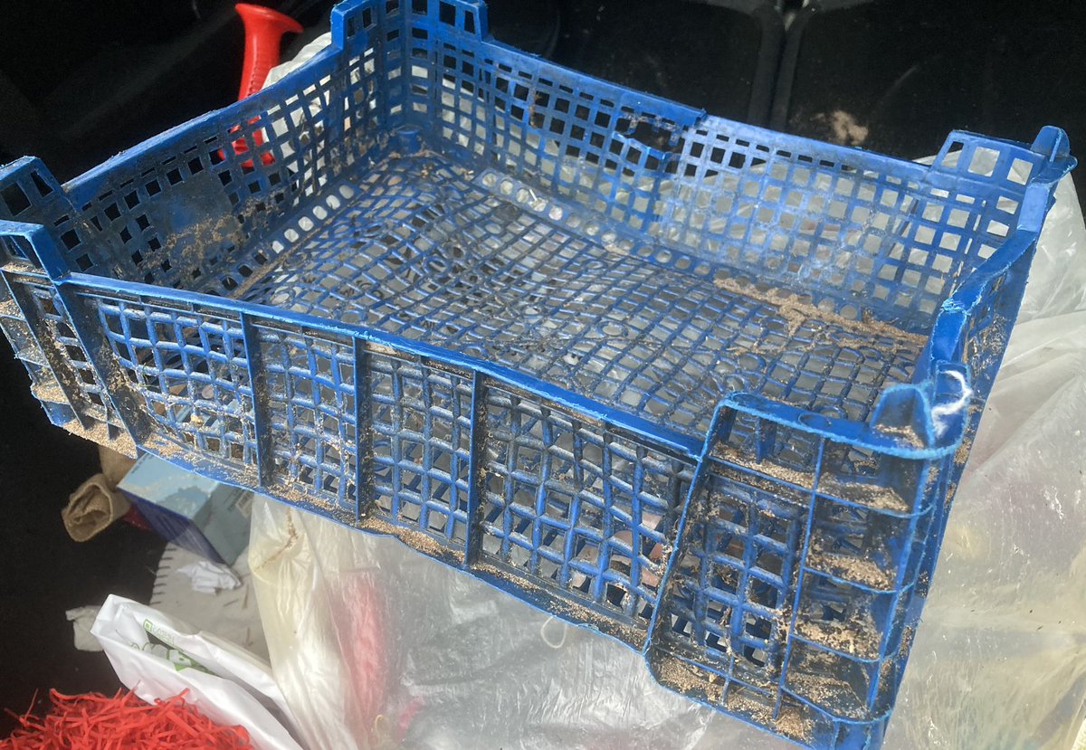 beachcomber50's tweet photo. Here’s another plastic item which needs removing. I found this one on the beach today. Thousands of them will be delivered to shops and hospitality venues today and then disposed of. @TheGrocer @sascampaigns #fruitandvegetablewholesale #pointlessplastic https://t.co/EZlkCJqEJ4