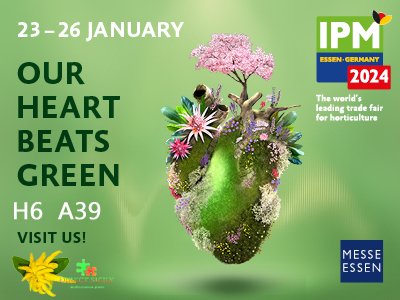 DIRECTSICILY's tweet photo. Ready? See you in Ipm Essen 2024!!! #ipmessen2024 #directsicily #citrus #olea #bougainvillea #palms #suntouch #mediterraneanplants https://t.co/g8srOQTBbS