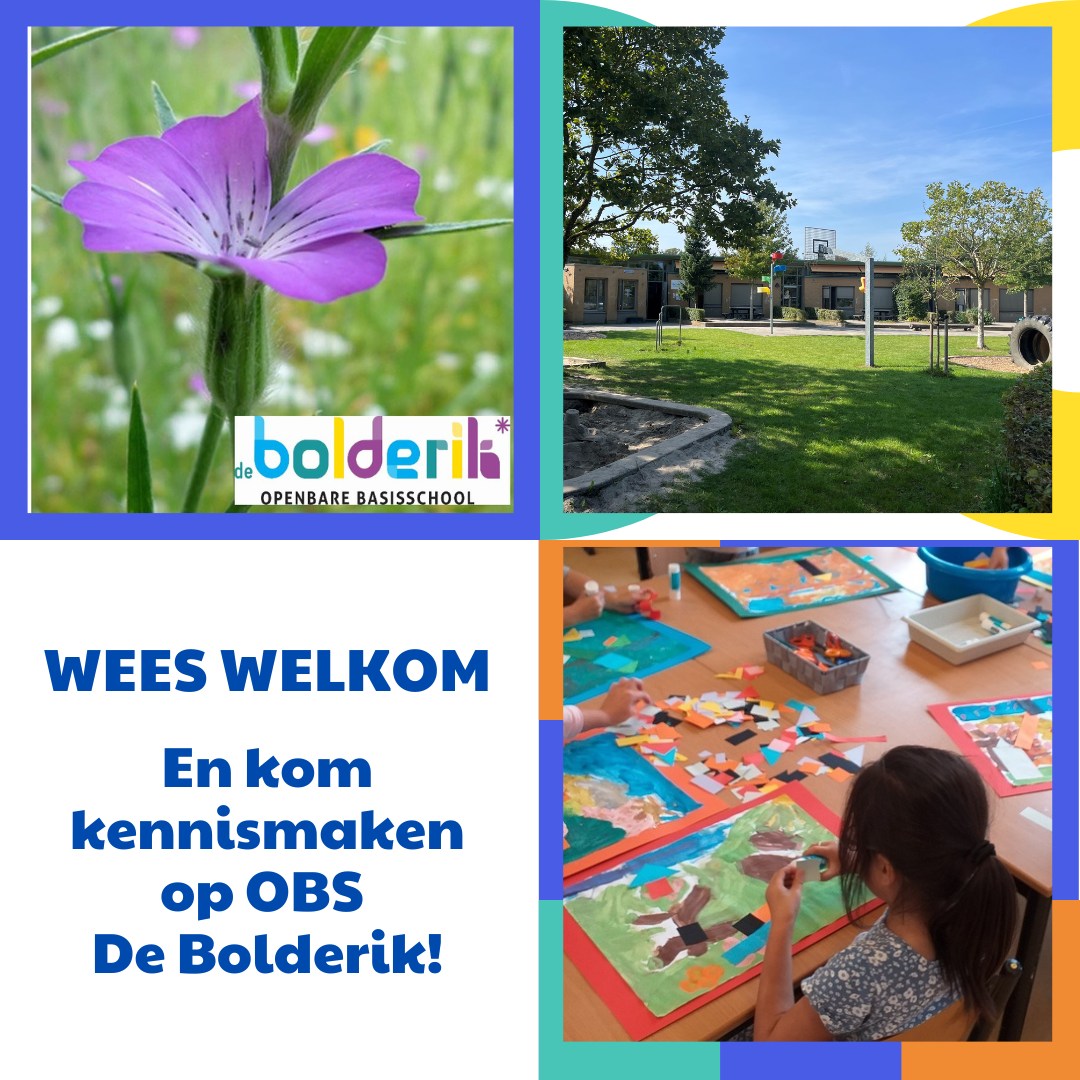 Wordt jullie kind komend (school)jaar 4 jaar? Vergeet de aanmelding op de basisschool niet!
Op onze website vind je meer informatie over de gezamenlijke open ochtenden van de basisscholen in Heeswijk-Dinther en de mogelijkheid voor een persoonlijke kennismaking en rondleiding.