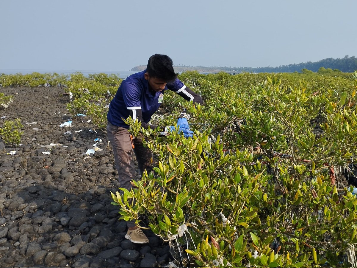 forfuturein's tweet photo. Thank you for joining hands. π
Patkar College NSS Unit and Ladhidevi College NSS Unit
.
.
.
#ForFutureIndia #HarshadDhage #ForFutureIndiaTeam #BeachCleanups #BeachCleanupsIndia #MajhiVasundhara #EnvironmentEnvoy #MangrovesCleanup #BeatPlasticPollution #BeachCleanup https://t.co/lgXC5hTdR4