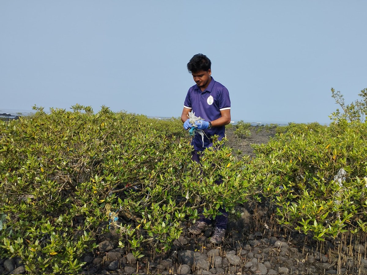 forfuturein's tweet photo. Thank you for joining hands. π
Patkar College NSS Unit and Ladhidevi College NSS Unit
.
.
.
#ForFutureIndia #HarshadDhage #ForFutureIndiaTeam #BeachCleanups #BeachCleanupsIndia #MajhiVasundhara #EnvironmentEnvoy #MangrovesCleanup #BeatPlasticPollution #BeachCleanup https://t.co/lgXC5hTdR4