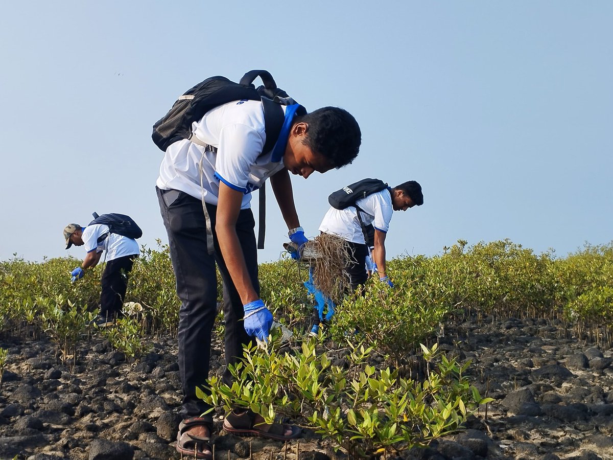 forfuturein's tweet photo. Thank you for joining hands. π
Patkar College NSS Unit and Ladhidevi College NSS Unit
.
.
.
#ForFutureIndia #HarshadDhage #ForFutureIndiaTeam #BeachCleanups #BeachCleanupsIndia #MajhiVasundhara #EnvironmentEnvoy #MangrovesCleanup #BeatPlasticPollution #BeachCleanup https://t.co/lgXC5hTdR4