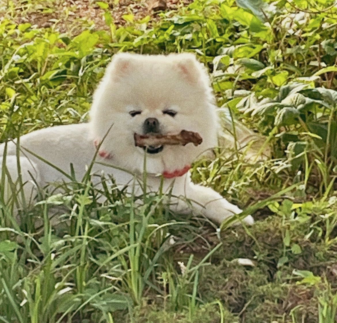 어딘가 묘-한
솜사탕들☁️☁️( ˆ͈̑꒳ˆ͈̑ )੭♡