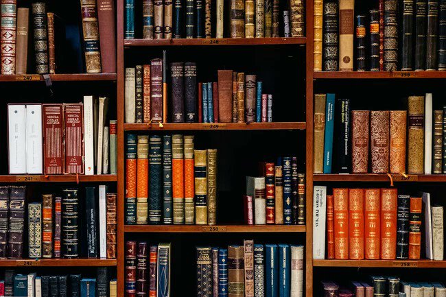 EnemigoAnonimo_'s tweet photo. Dónde descargar gratis los libros que han entrado al dominio público en 2024  https://t.co/N0tOGd0Qew https://t.co/Ps9L43C8CG