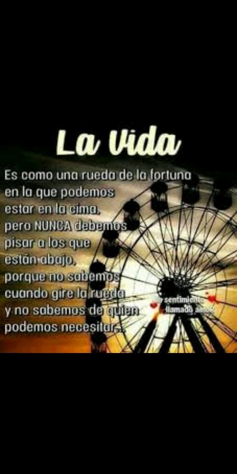 MariaVa79's tweet image. 