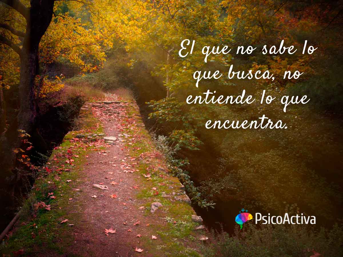 MariaVa79's tweet image. frasesde.website/reflexionar-fr…