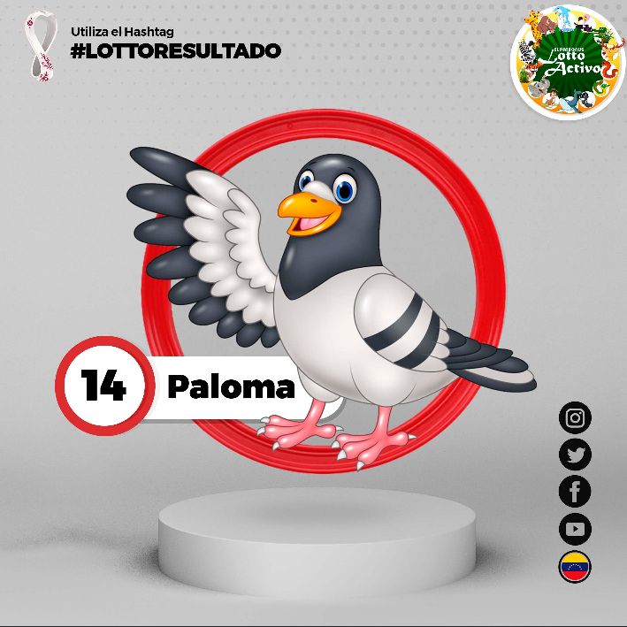 Radarhipico's tweet image. Feliz y bendecido martes para todos ! #Martes #Animalitos #RegalosAbiertos @marrpacheco