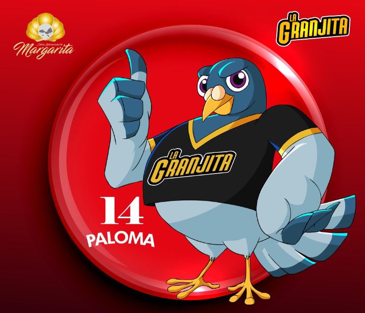 Radarhipico's tweet image. Feliz y bendecido martes para todos ! #Martes #Animalitos #RegalosAbiertos @marrpacheco