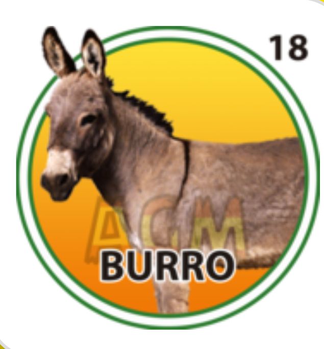 Radarhipico's tweet image. Feliz y bendecido martes para todos ! #Martes #Animalitos #RegalosAbiertos @marrpacheco