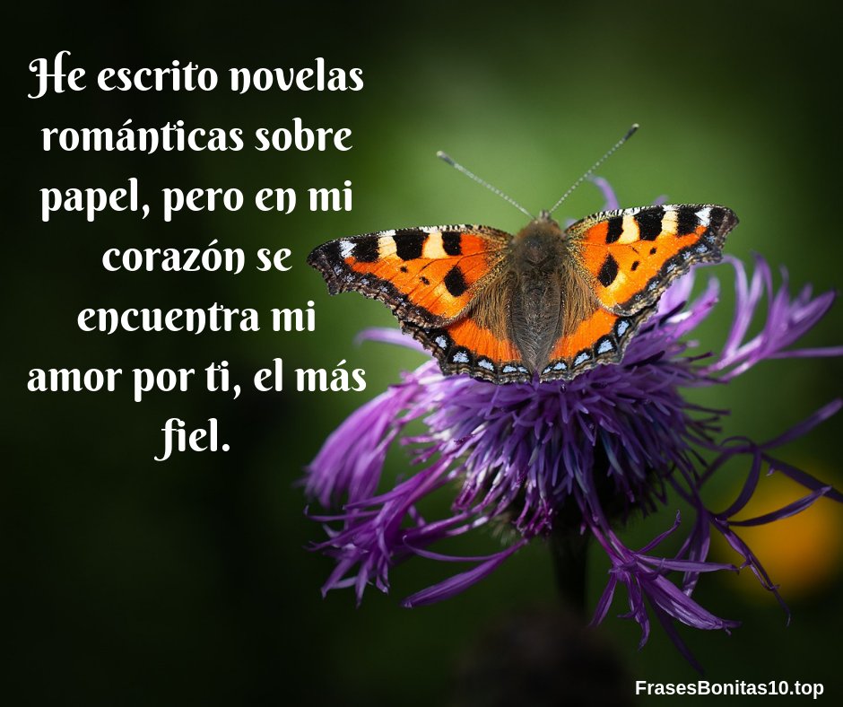 MariaVa79's tweet image. frasesbonitas10.top