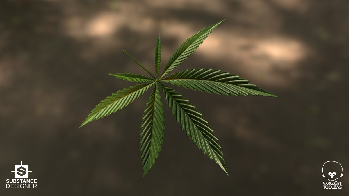 Happy #PortfolioDay everyone ! 

I'm Aude and I'm a Mid 3d Environnement Artist with a preference for a vegetation specialization🌿

I'm currently open to work!! Im based in France and I'm able to work remotely 🥸

✉️ verquin.aude@gmail.com
🎨 artstation.com/averquin