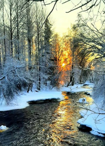 DonaldsonnPHOTO's tweet photo. Good evening friends ! #photos #photography #evening #sunset https://t.co/lpwJ1rHMjL