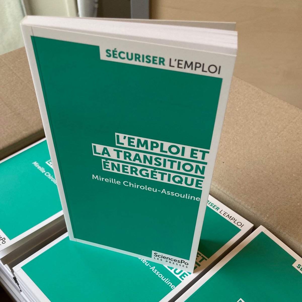 #Economie #Environnement #Climat « L'#emploi et la transition énergétique » de <a href="/MChiroleuA/">Mireille Chiroleu-Assouline</a> (<a href="/SorbonneParis1/">Université Paris 1 Panthéon-Sorbonne</a>, <a href="/PSEinfo/">Paris School of Economics</a>, <a href="/InstUnivFr/">Institut universitaire de France (IUF)</a>) vient d'être livré !📚En librairie le 2 février bit.ly/47nxs9v