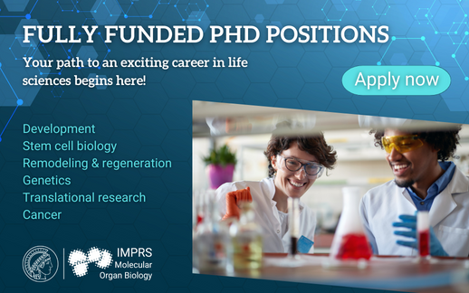 📣Get your documents and motivation letter in order, and join our #PhD program 👇 Go on an exciting journey as  fully-funded #PhD candidate! 🎓🚀
Apply now: t1p.de/uh5s9      
#development #lifesciences #regeneration #genetics #phdposition  <a href="/mpi_hlr/">Max Planck Institute for Heart and Lung Research</a>  <a href="/CPI_ExStra/">CPI</a>