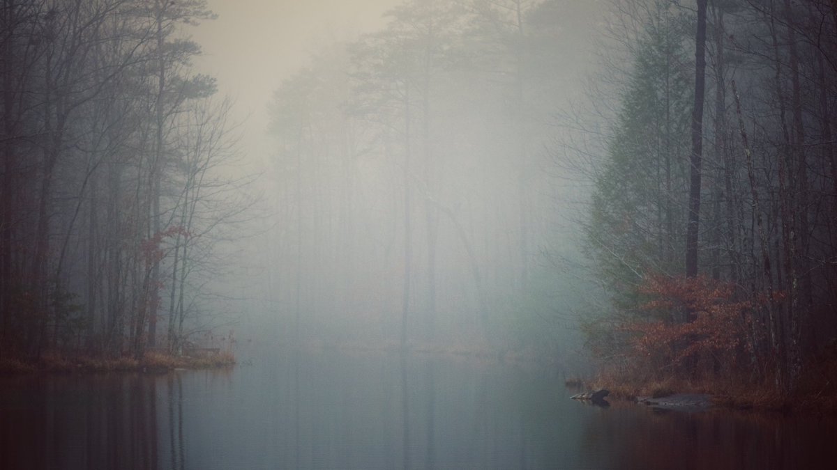 Boulder Lake is shrouded in most. #mist #mysterious #winter #cumberlandplateau #lake #eerie #magical