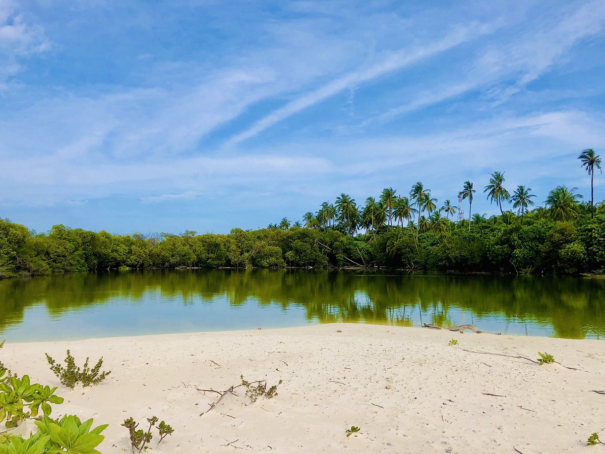 ދޭސީ @NfyAL - Twitter Profile | Sotwe