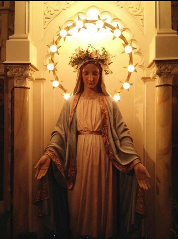 cordismei's tweet photo. "Tutto quello che domandate nella preghiera abbiate fede di averlo ottenuto e vi sarà accordato"
[Mc 11,24]

11a promessa:
 «Tutto quello che verrà chiesto mediante il #Rosario sarà ottenuto».

#SantoRosario #9gennaio #9January #9janvier #9deEnero #9deJaneiro https://t.co/iQEDW9BN3F