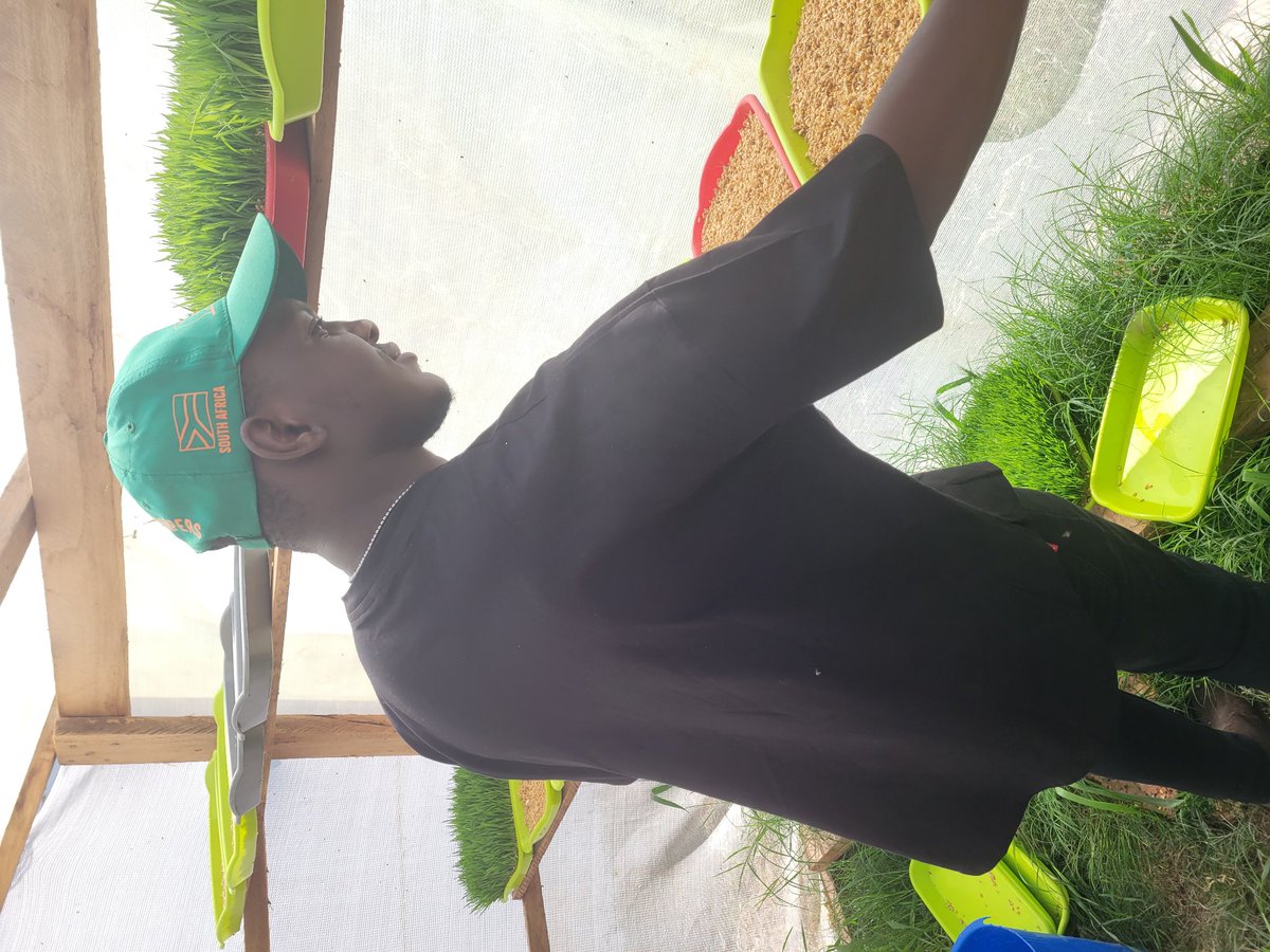 Peter Mukunza tweet media