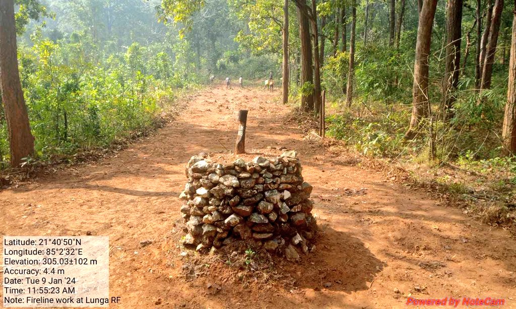 DfoBonai's tweet photo. Preparedness for next forest fire seasons.Ongoing #firelines tracing at fire prone areas.
@pccfodisha
@ForestDeptt https://t.co/pUn15nFkpO