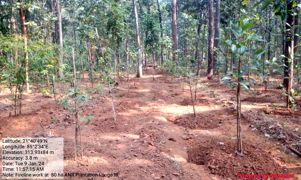 DfoBonai's tweet photo. Preparedness for next forest fire seasons.Ongoing #firelines tracing at fire prone areas.
@pccfodisha
@ForestDeptt https://t.co/pUn15nFkpO