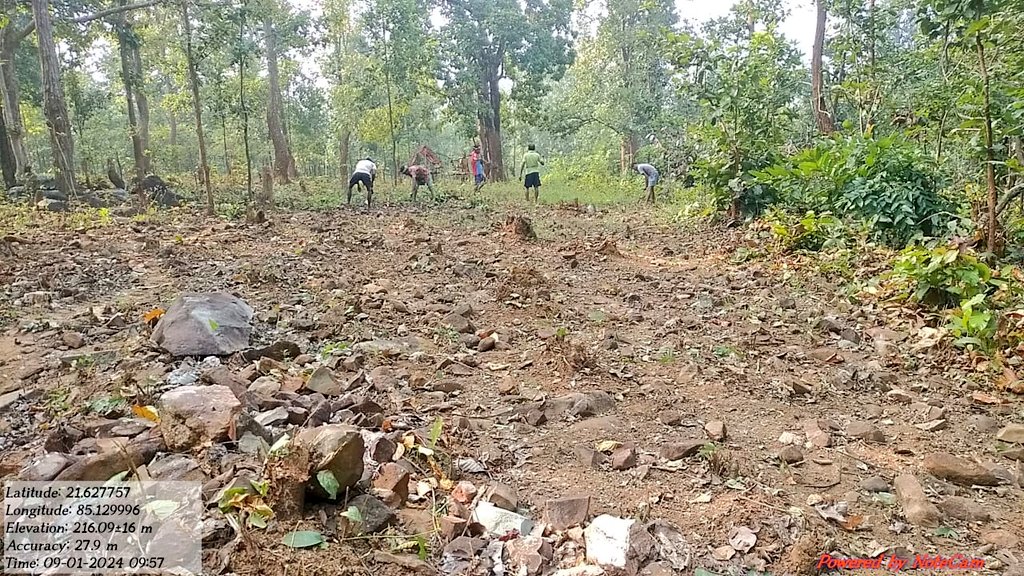 DfoBonai's tweet photo. Preparedness for next forest fire seasons.Ongoing #firelines tracing at fire prone areas.
@pccfodisha
@ForestDeptt https://t.co/pUn15nFkpO