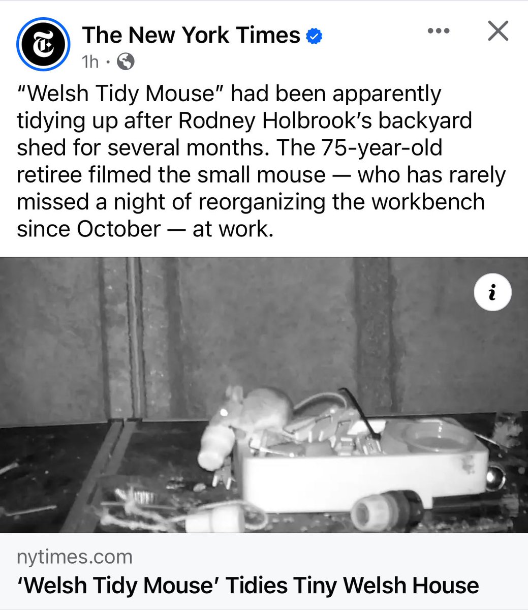 Karen Chaplin tweet media